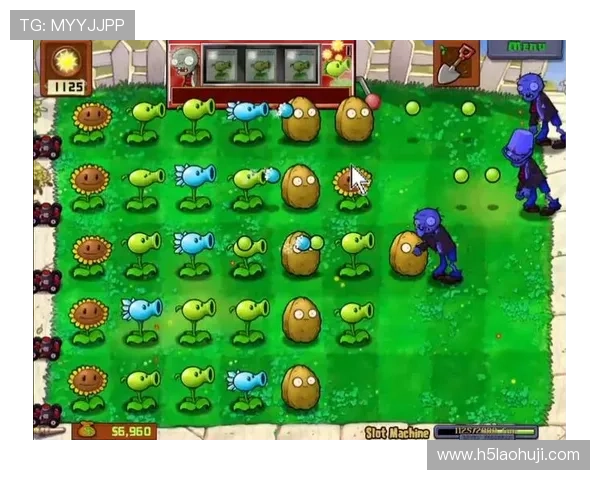 丰富多样的老虎机小游戏在线玩,带来极致的视觉与刺激体验