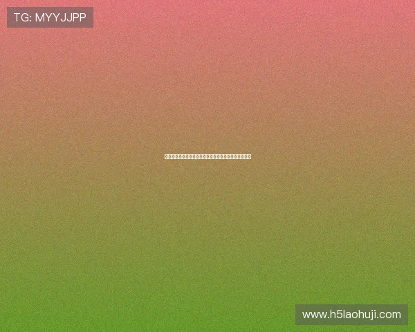 如何快速进行老虎机网站查询确保信息的准确性与时效性