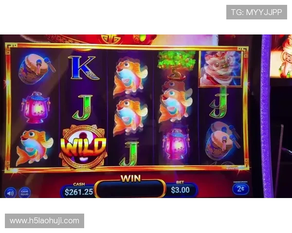 2024年最新老虎机官网地址大全,快速访问安全无忧