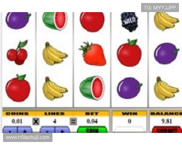 水果老虎机百家乐官网安全保障措施，保护玩家隐私，营造放心的游戏环境